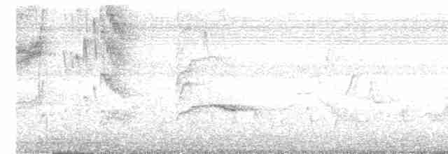Turuncu Başlı Ardıç - ML619558545