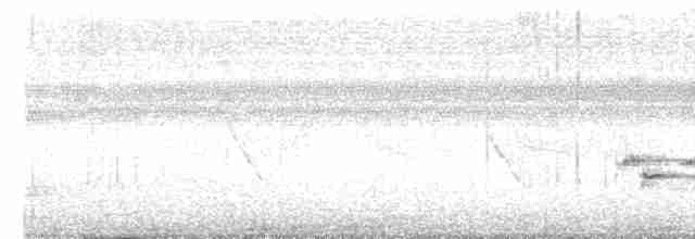 Turuncu Başlı Ardıç - ML619558551