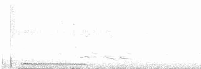 珠頸斑鳩 - ML619558824