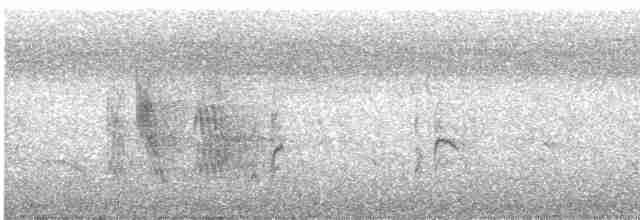 斑文鳥 - ML619558826