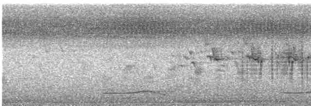 褐頭鷦鶯 - ML619558882