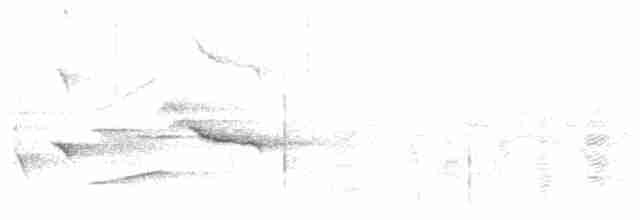 gråkjernebiter - ML619559163
