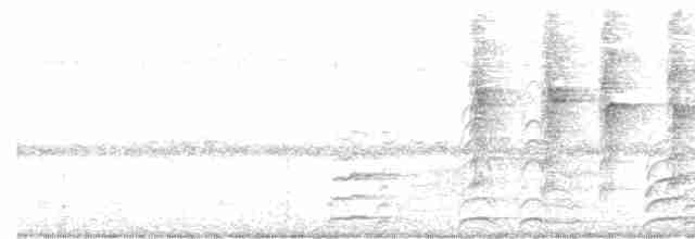 Yeni Zelanda Kara Poyrazkuşu - ML619559398