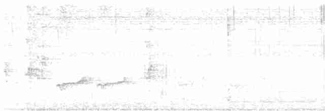 Turuncu Başlı Ardıç - ML619559757