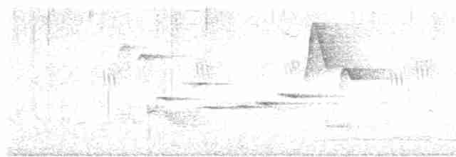Papamoscas de Tickell - ML619559915