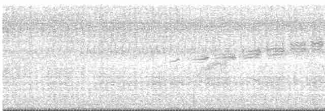 Prairie Warbler - ML619559922