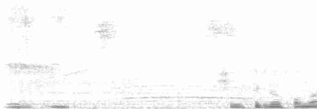 gråfluesnapper - ML619560006