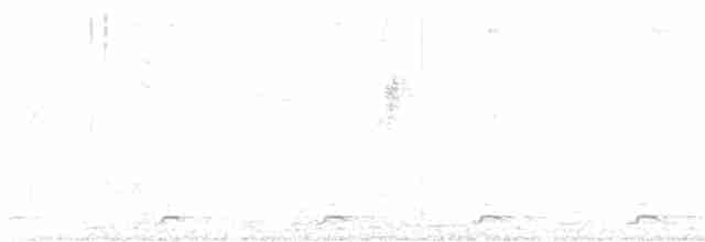 白腹秧雞 - ML619560012