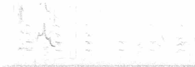 Кулик-довгоніг чорнокрилий - ML619560109