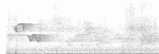 svartbrystparula - ML619560266