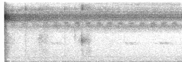 Batılı Kara Başlı Pitta  (sordida/palawanensis) - ML619560631