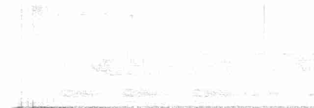 lesňáček černohlavý - ML619560874