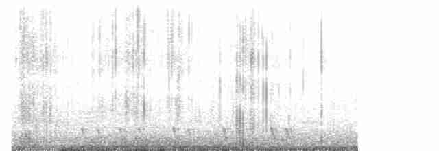 Red-necked Nightjar - ML619561101