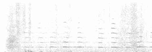 黃嘴天鵝 - ML619561129