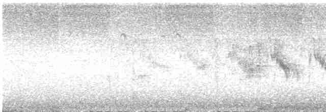 rorýs bělokrký - ML619561216