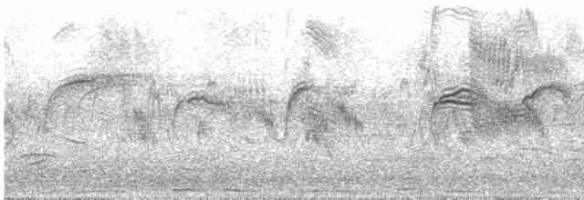 rorýs šedohnědý - ML619561464