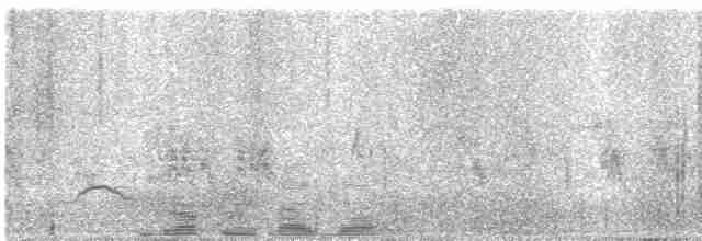 Eastern Orphean Warbler - ML619561680
