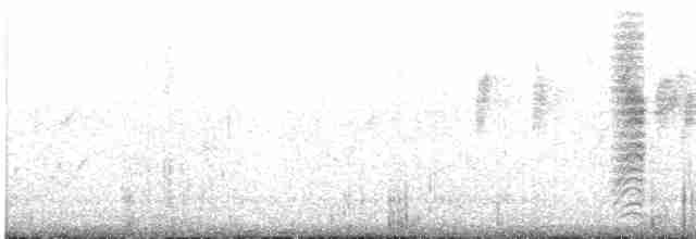 白胸燕鵙 - ML619561710