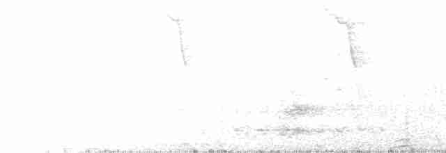Австралийская султанка - ML619561805