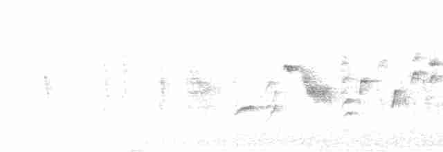 Blyth's Reed Warbler - ML619561871