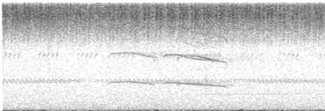 kalous ušatý - ML619561953