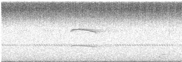 長耳鴞 - ML619561954
