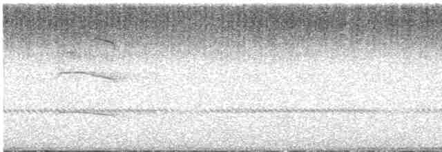 kalous ušatý - ML619561955