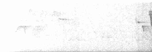 Червоїд сіроголовий - ML619562492