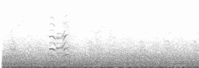 Cisne Negro - ML619562804