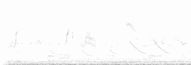 Ивовый мухолов - ML619562881