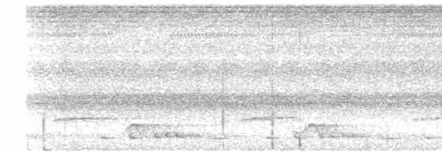 Малайская лесная куропатка - ML619562903
