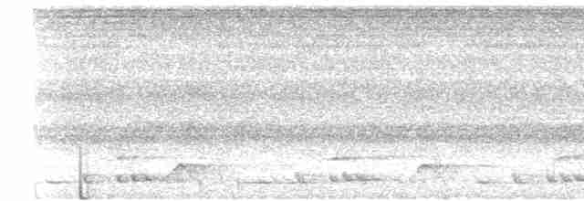 Малайская лесная куропатка - ML619562909
