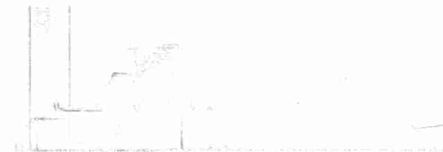 svarttrost - ML619563069