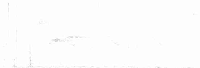 Кропив’янка чорноголова - ML619563301