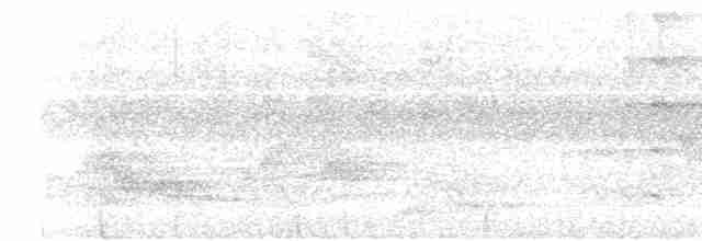 Bulbul cap-nègre - ML619563401