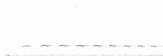 Olivgrau-Ameisenvogel - ML619563691