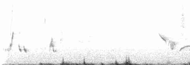 Nachtigallengrasmücke - ML619563701