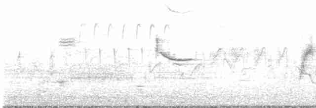 Willow Flycatcher - ML619563728