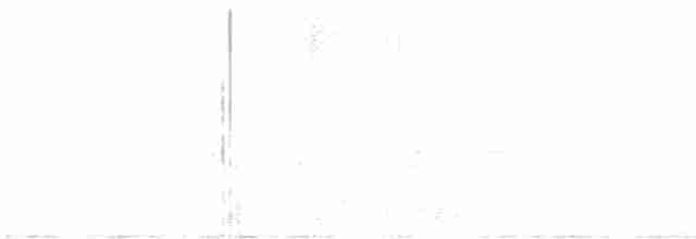 tyranovec vrbový - ML619563821