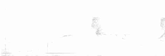 Küçük Boreal Sinekkapan - ML619563828