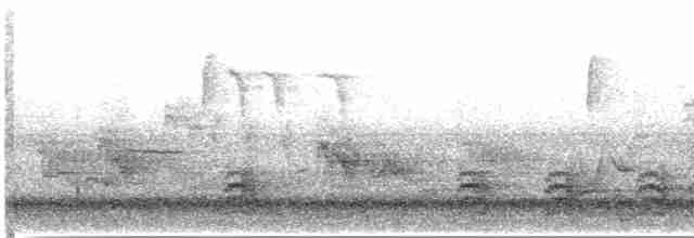 Weißbrustkleiber - ML619563882