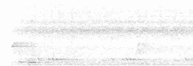 holub světleoký - ML619563891