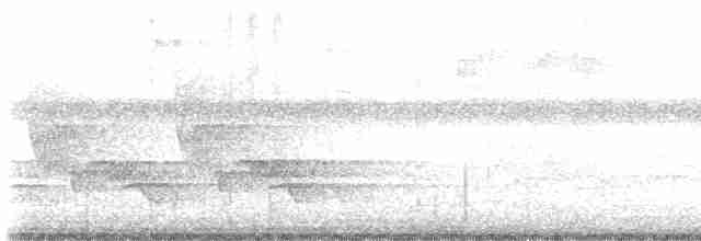 Kentucky Warbler - ML619564219