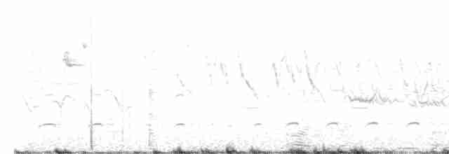 Lophophore de Lhuys - ML619564234