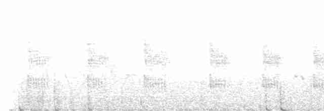 Широкохвістка непальська (підвид intricatus/oblitus) - ML619564341