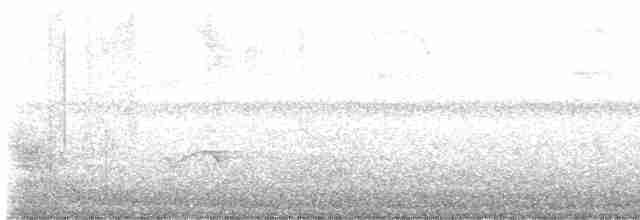 Oriole des vergers - ML619564354