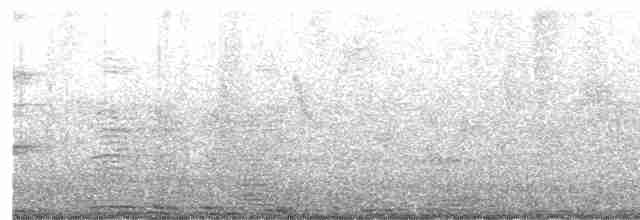 黑領椋鳥 - ML619564493