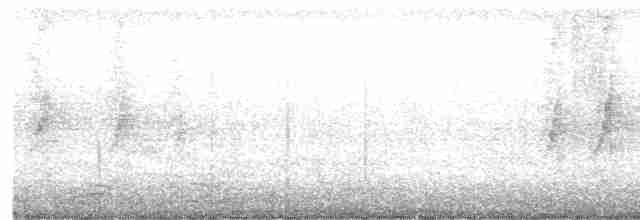 黑領椋鳥 - ML619564494
