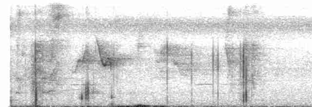 Kara Gerdanlı Çıtkuşu - ML619564528