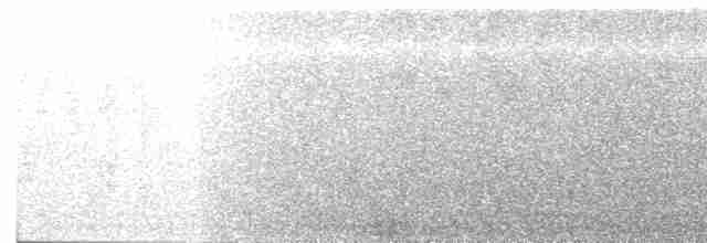 Cerulean Warbler - ML619564768